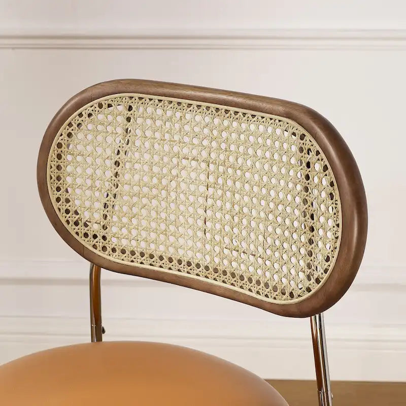 Art Leon Cane Back Faux Leather Upholstered Dining Chair (Set of 2)