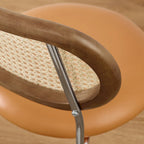 Art Leon Cane Back Faux Leather Upholstered Dining Chair (Set of 2)