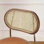 Art Leon Cane Back Faux Leather Upholstered Dining Chair (Set of 2)