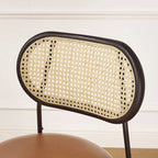 Art Leon Cane Back Faux Leather Upholstered Dining Chair (Set of 2)